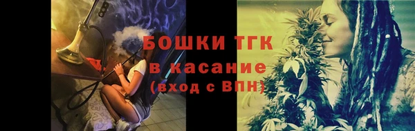 Альфа ПВП Осинники