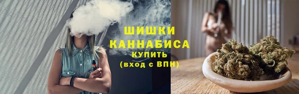 твердый Осташков