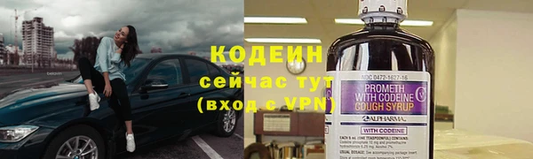 шишки Богородицк