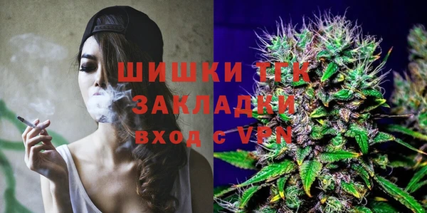 твердый Осташков