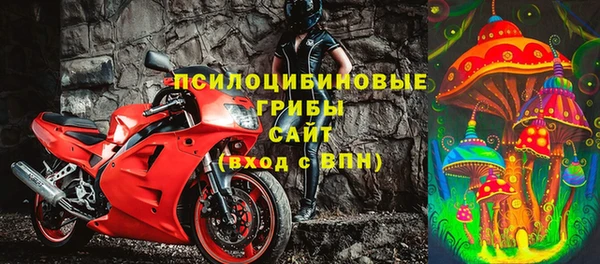 Альфа ПВП Осинники